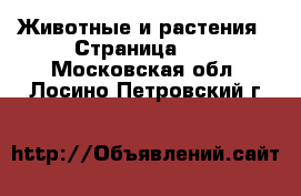  Животные и растения - Страница 11 . Московская обл.,Лосино-Петровский г.